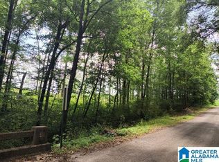 92-11 Foot Rd, Carbon Hill, AL 35549