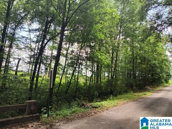 92-11 Foot Rd, Carbon Hill, AL 35549