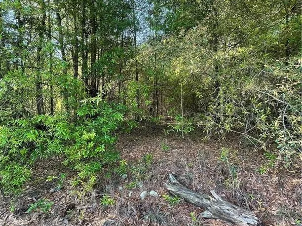 0 County Road 24, Seale, AL 36875