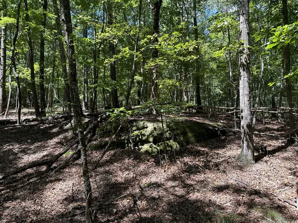 2301 Sarvisberry Pl, Monteagle, TN 37356