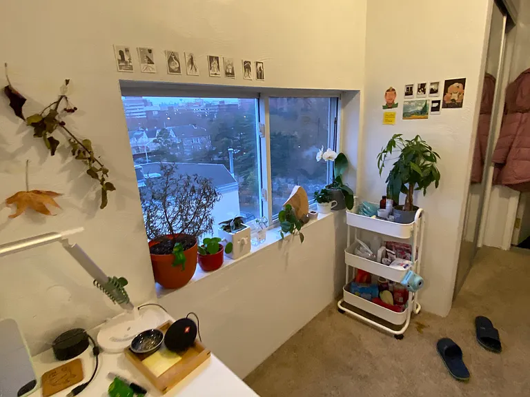 514 Ivy St #5-G — Photo 45