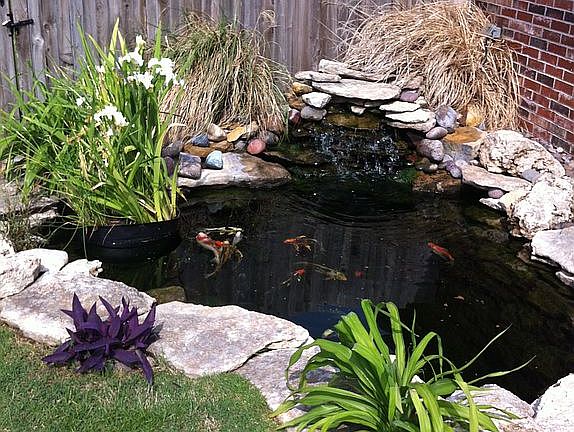 pond with waterfall 