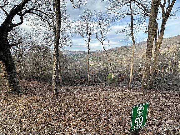 3rd image of LOT 59 Wilderness Creek Way