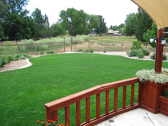 Back yard