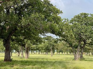 1031 Drovers Trl, Mineral Wells, TX 76067