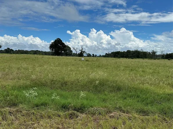 Private Road 2316 Trl Lot 47 & 48, Centerville, TX 75833