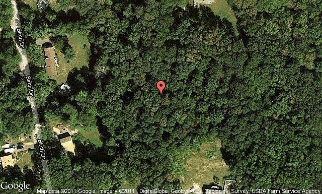 Map View