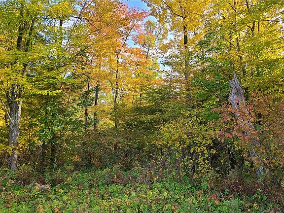 3rd image of 000 Sawdust Rd
