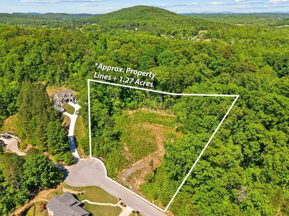 42 Canoe Cv, Ringgold, GA 30736