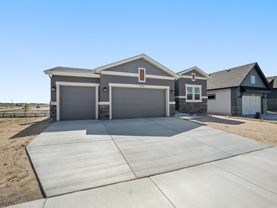 Daytona Plan, Percheron, Colorado Springs, CO, 80908