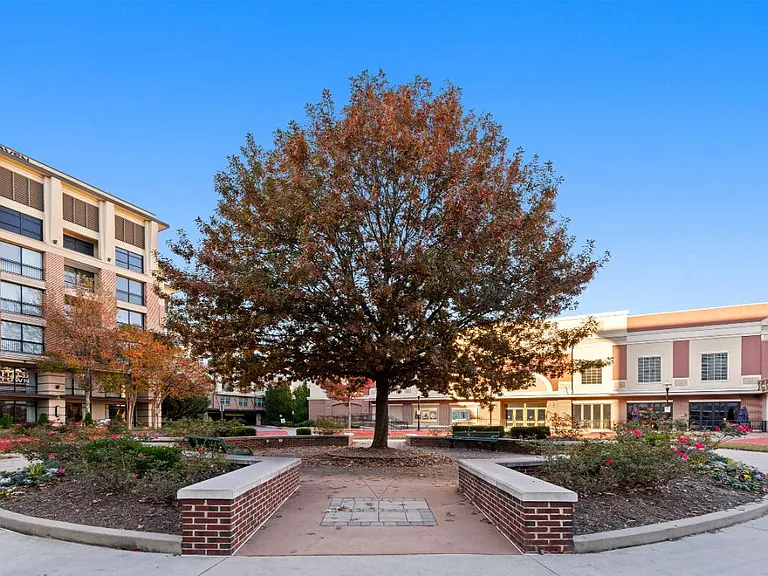 The GoodWynn at Town Brookhaven by ARIUM — Photo 19