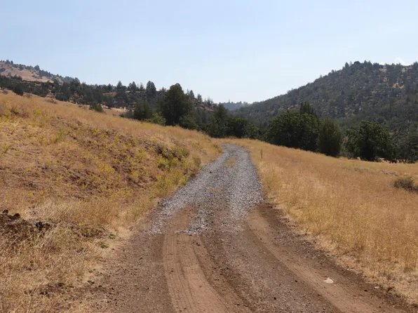 11220 Yellow Dog Trl, Hornbrook, CA 96044