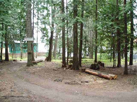 4th image of 0 N Peninsula Dr