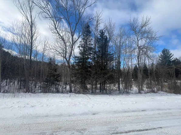 Tbd Byers Rd, Sagola, MI 49881