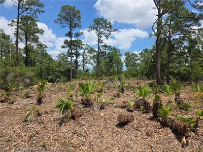 6512 Burkett Ave, Sebring, FL, 33875