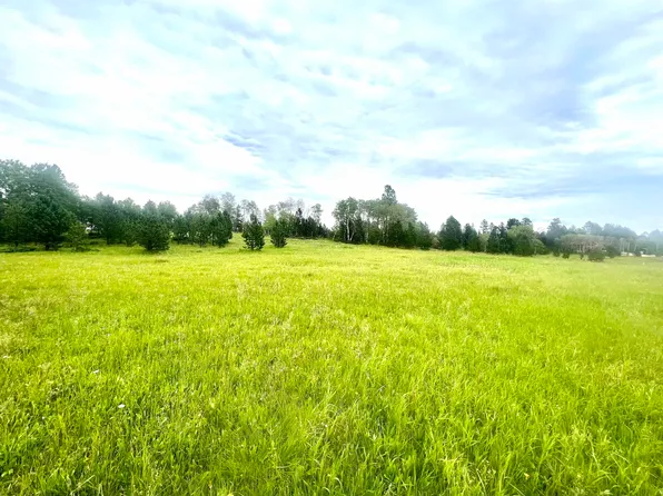 10348 Dale, Hill City, SD 57745