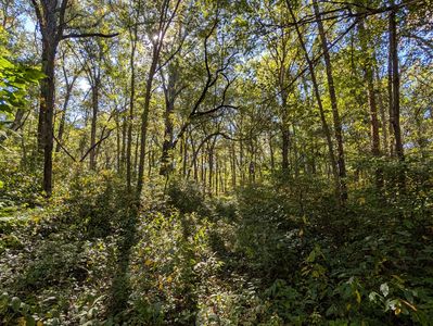 244th St, Schneider, IN, 46376