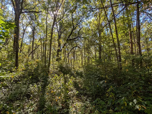 244th St, Schneider, IN 46376