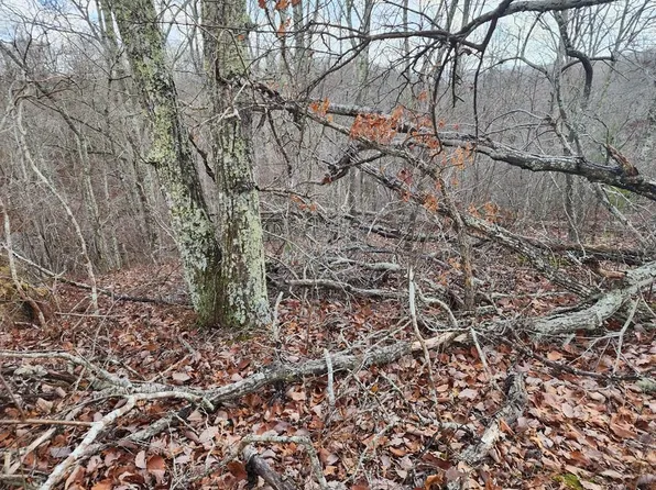 0 Robin Ln, Holladay, TN 38341