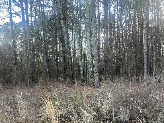 5th image of TRACT 1 County Road 450