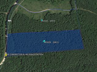 2974 Pine Grove Rd, Big Sandy, TN 38221