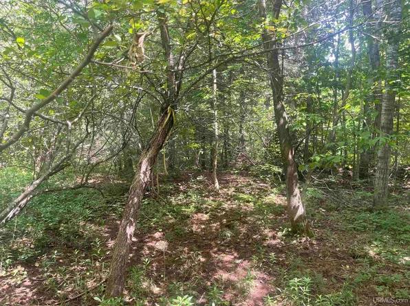 Puumala Rd, Wakefield, MI 49968