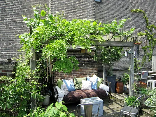 Rented by Town Residential | media 33