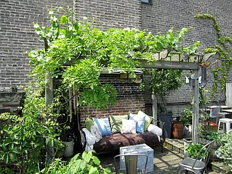 Rented by Town Residential