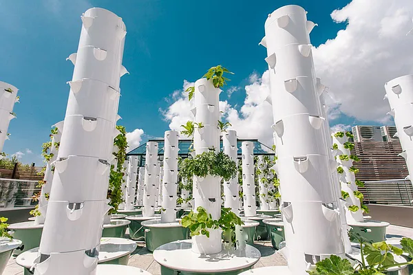 Rented by EXR | media 15