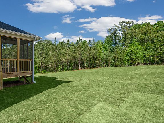 Screen porch rear yard