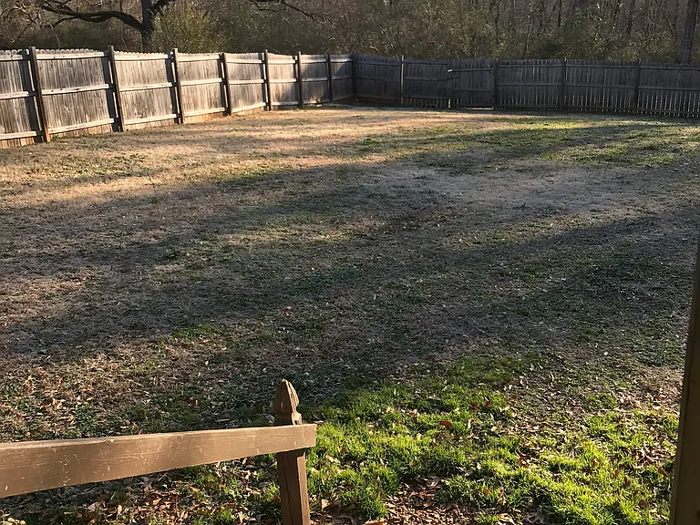 Huge fenced in back yard