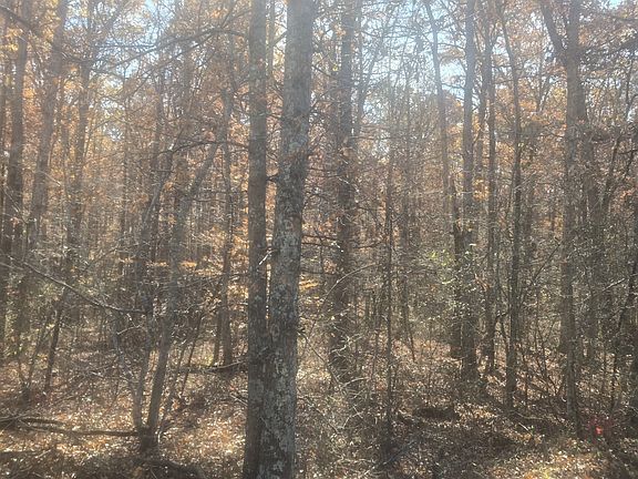 2nd image of 0 N Ore Rd