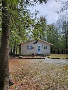 36088 S Jones Lake Rd, Drummond Island, MI, 49726