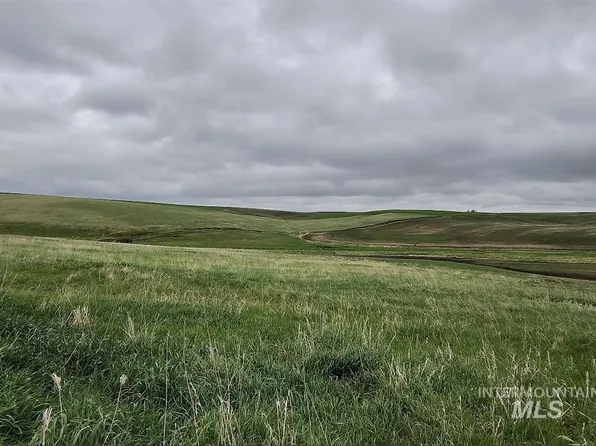 Meade Rd, Nezperce, ID 83543