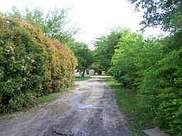 2nd image of 1926 Weeping Willow Dr