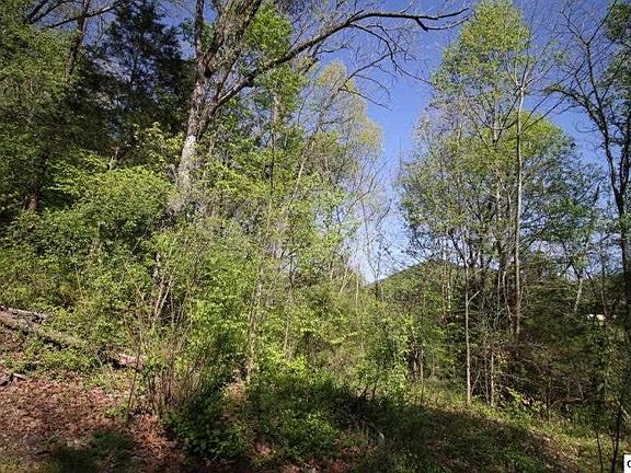 3rd image of 0 Sandy Point Ln Lot 66-67