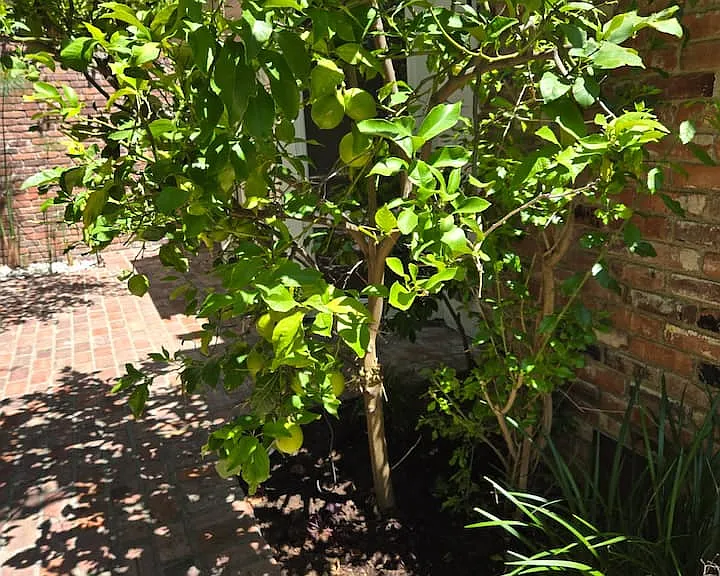 1841 Marcheeta Pl — Photo 88