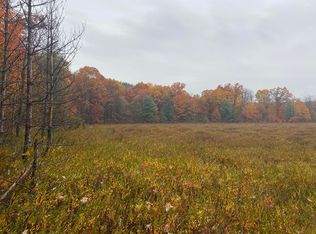 168 V L N 168th Ave, Walkerville, MI 49459