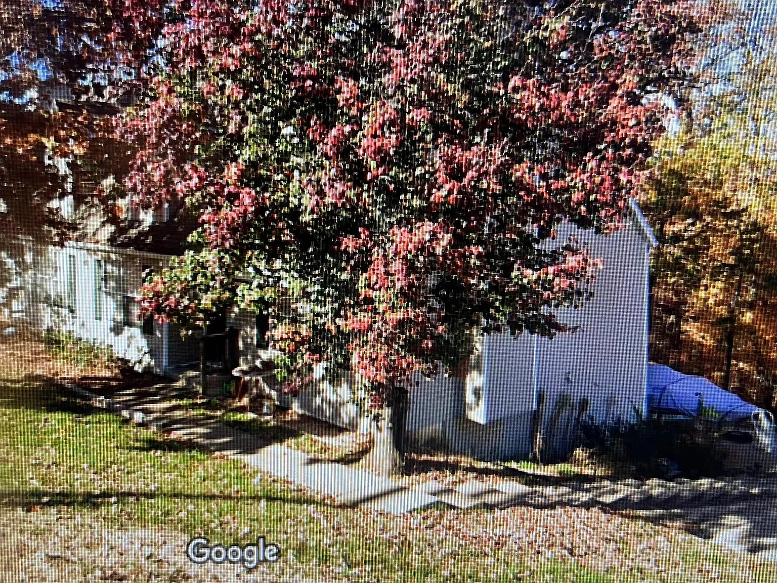 3 bed, 1440 sqft, $1,500 — Photo 2