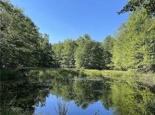 0 Grouse Rd, Sarona, WI 54870