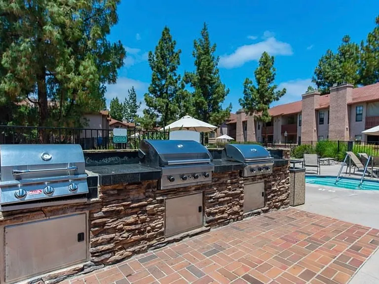 Alta Carmel Ct — Photo 27