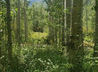 TBD County Road 3, Marble, CO 81623