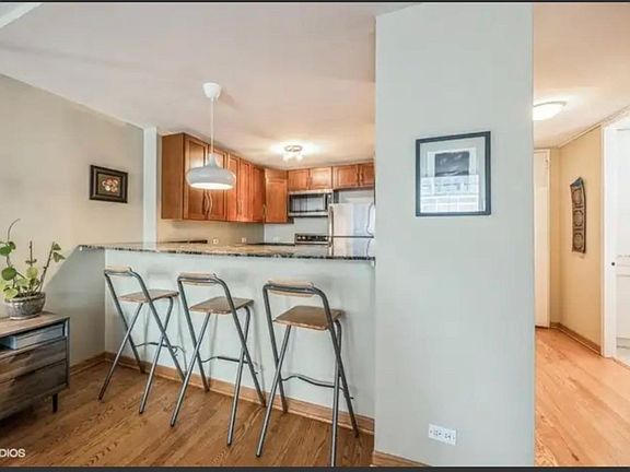 5th image of 233 E Erie St APT 1204
