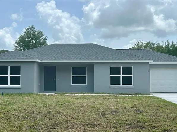 87 Guava Pass Dr, Ocklawaha, FL 32179