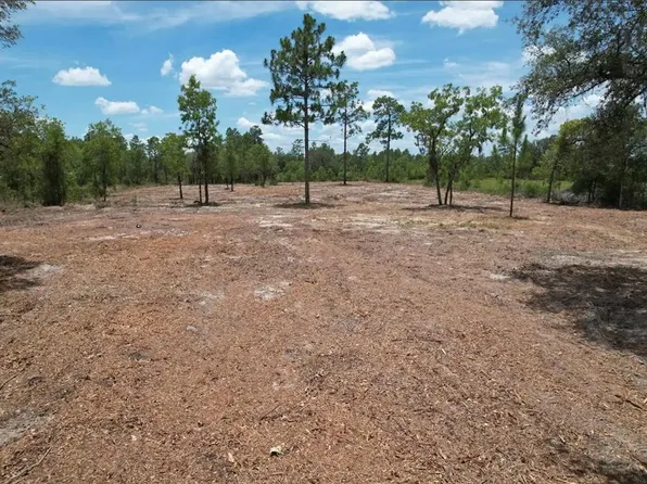 NE 56th St, Bronson, FL 32621