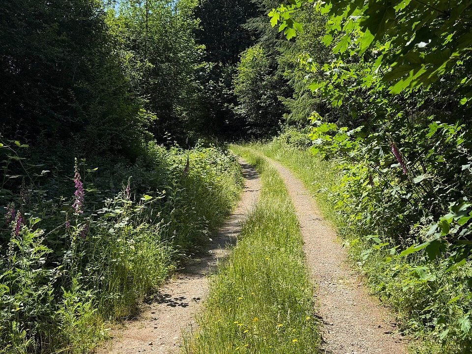1st image of 434 W Bulb Farm Road