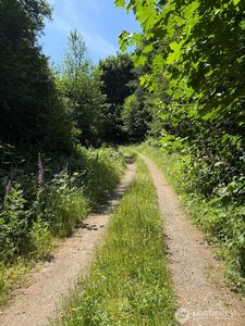 434 W Bulb Farm Road, Shelton, WA, 98584