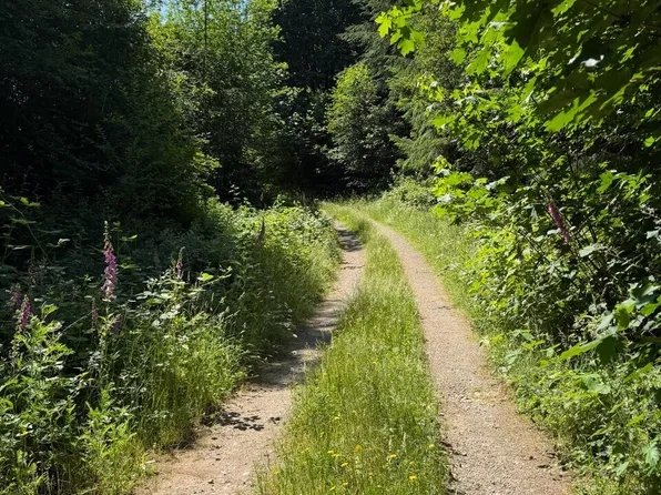 434 W Bulb Farm Road, Shelton, WA 98584