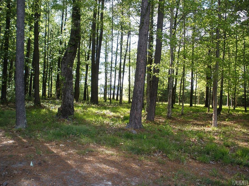 1st image of Pinto Ln