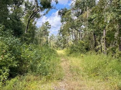 LOT 45 SW 32nd Ln, Jasper, FL, 32052